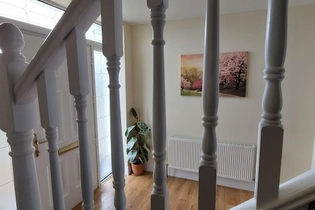 Modern Countryside Apartment Killmallock Lodge เอนนิสคอร์ธี ภายนอก รูปภาพ